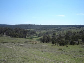 646 Stewarts Crossing Road Braidwood NSW 2622 - Image 1