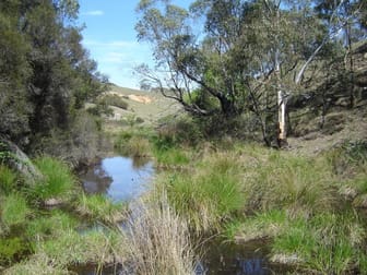 646 Stewarts Crossing Road Braidwood NSW 2622 - Image 2