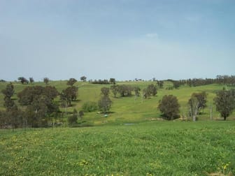 3944 Murringo Road Young NSW 2594 - Image 3