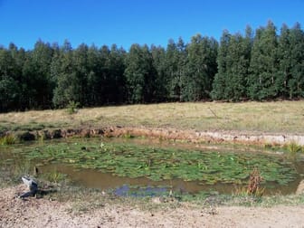 Ellangowan NSW 2470 - Image 1