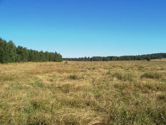 Ellangowan NSW 2470 - Image 3