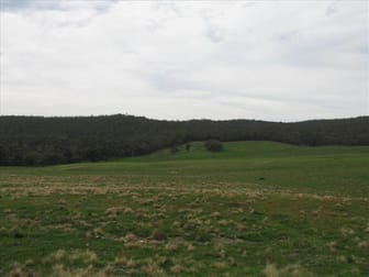 72  Wild Cattle Flat Road Jingera NSW 2622 - Image 2