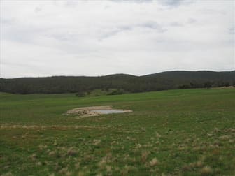 72  Wild Cattle Flat Road Jingera NSW 2622 - Image 3
