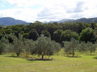 Mullumbimby NSW 2482 - Image 3