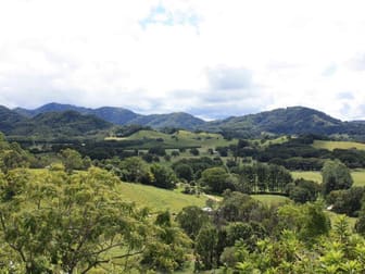 136 Moffatts Road Billinudgel NSW 2483 - Image 1