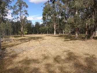 76 Coalmine Road Nymboida NSW 2460 - Image 3