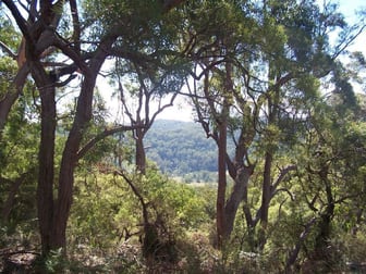 Bucketty NSW 2250 - Image 3
