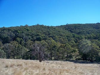 Lot 22 Coolamigal Road Portland NSW 2847 - Image 1