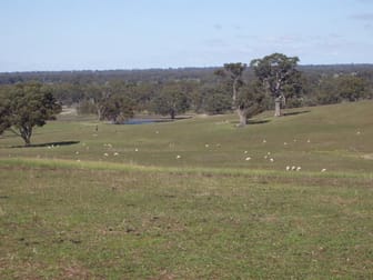 697 Redmans Road Moyston VIC 3377 - Image 3