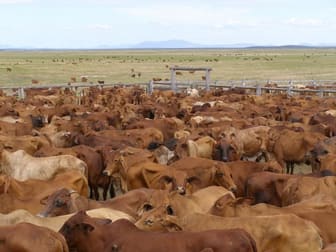 10 Stanage Bay Road Stanage QLD 4702 - Image 2