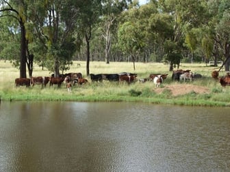 167 Rodgers Creek Rd Warwick QLD 4370 - Image 1