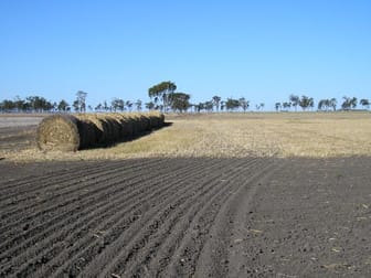 Click to view all images 0 BONVIEW Dalby QLD 4405 - Image 1