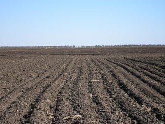 Click to view all images 0 BONVIEW Dalby QLD 4405 - Image 3