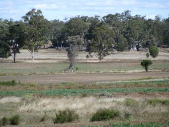 Click to view all images 6605 ACRES, WEST OF Dalby QLD 4405 - Image 1