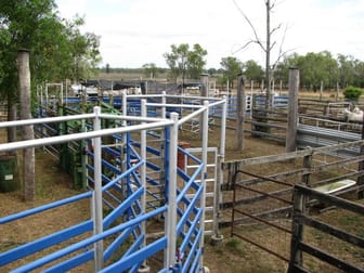 Click to view all images 1173 Acres Condamine River Grazing + Stud Herd Brigalow QLD 4412 - Image 2