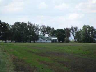 Click to view all images 197 ACRES FARMING Bowenville QLD 4404 - Image 2