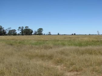 637 ACRES IN FOUR FREEHOLD TITLES Tara QLD 4421 - Image 1