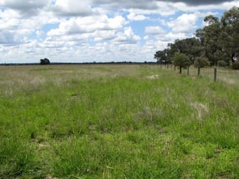 Click to view all images 2476 ACRES WELL IMPROVED Tara QLD 4421 - Image 1
