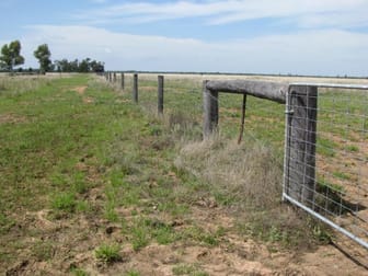 2438 ACRES BRIGALOW-BELAH Tara QLD 4421 - Image 1