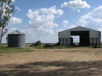 2438 ACRES BRIGALOW-BELAH Tara QLD 4421 - Image 3