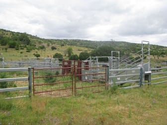 640 ACRES CATTLE GRAZING Cooranga North QLD 4408 - Image 2