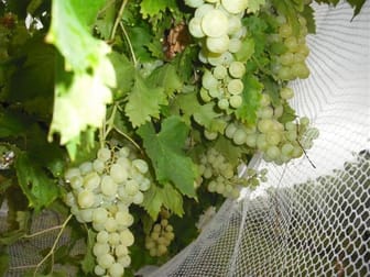 Click to view all images 322 ACRES VENDOR RELOCATING Jandowae QLD 4410 - Image 2