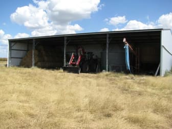 FREE WATER 313 ACRES Tara QLD 4421 - Image 2