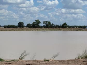 FREE WATER 313 ACRES Tara QLD 4421 - Image 3