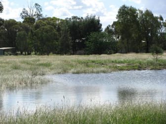ALLAWAH,  3565 ACRES Tara QLD 4421 - Image 3