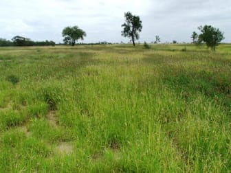 Click to view all images 180 Commissioners Point Road St George QLD 4487 - Image 3