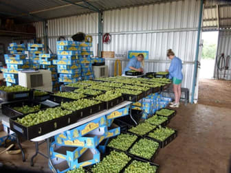 Click to view all images 157 Whytes Road St George QLD 4487 - Image 2