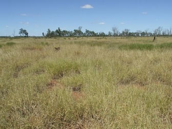 Click to view all images Honeymah Lane St George QLD 4487 - Image 2