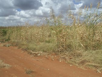 Click to view all images 43 Middle Mitchell - St George Rd Mitchell QLD 4465 - Image 2