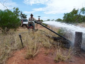 Humeburn Road Cunnamulla QLD 4490 - Image 3