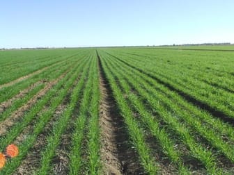 Click to view all images Mitchell - St George Road St George QLD 4487 - Image 1