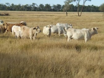 Click to view all images Balonne Highway St George QLD 4487 - Image 1