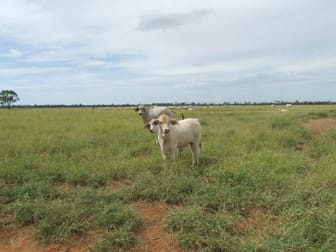 Click to view all images Balonne Highway St George QLD 4487 - Image 2