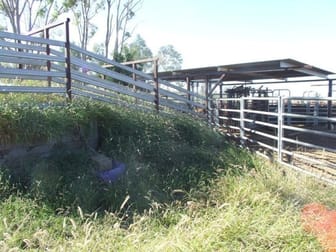 Southern Roma - Begonia Road Roma QLD 4455 - Image 3