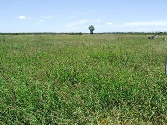 Bollon - Mitchell Road Bollon QLD 4488 - Image 2