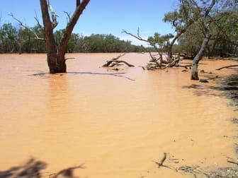 Bollon - Mitchell Road Bollon QLD 4488 - Image 3