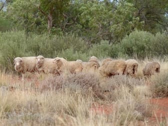 10 Gumahah Road Cunnamulla QLD 4490 - Image 1