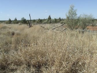 Click to view all images Mitchell QLD 4465 - Image 1