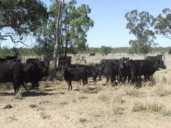 Click to view all images Mitchell QLD 4465 - Image 2