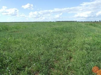 Click to view all images Hollymount Road Talwood QLD 4496 - Image 3