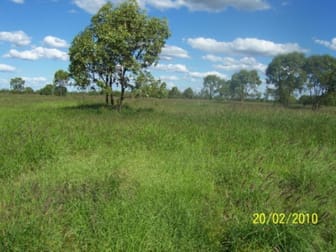 357 Homeboin - St George Rd Bollon QLD 4488 - Image 2