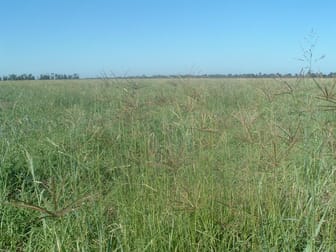 - Chinchilla Wondai Road Canaga QLD 4413 - Image 1