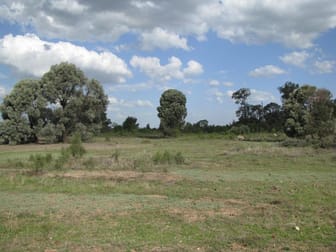 Click to view all images - Brigalow-Belah Country The Gums QLD 4406 - Image 3