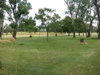 Click to view all images - PRICE REDUCED - DUCKLO ORCHARD Dalby QLD 4405 - Image 2