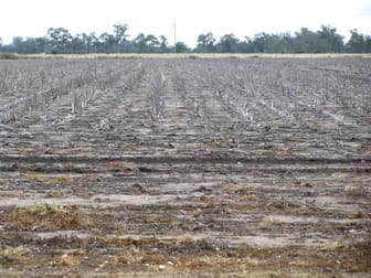 Click to view all images - PRICE REDUCED - DUCKLO ORCHARD Dalby QLD 4405 - Image 3