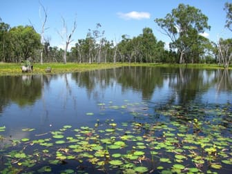 SECOND PRICE REDUCTION - LIVING WATERS, MOONIE HIGHWAY Dalby QLD 4405 - Image 1
